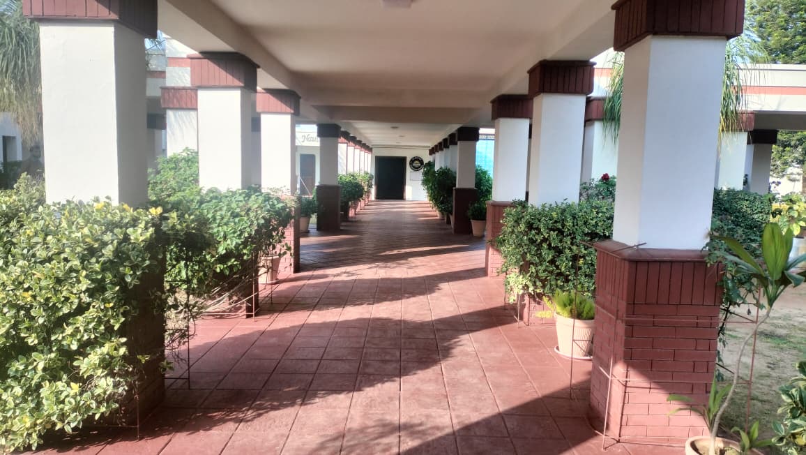 WhatsApp Image 2025-11-21 at 09.39.15 (1)